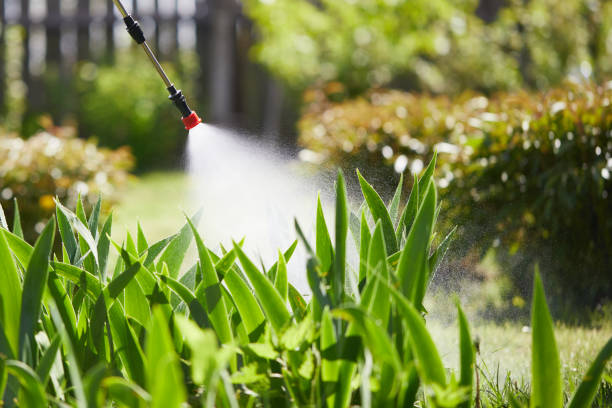 24/7 Emergency Ant Control experts in Westminster, LA